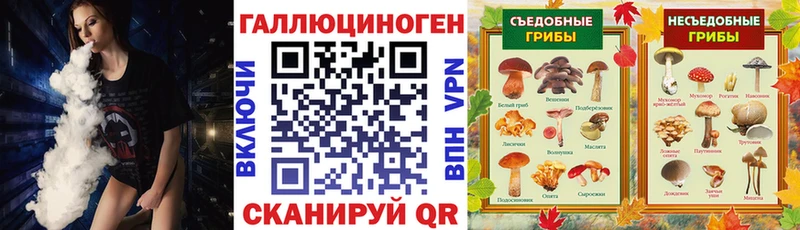 Купить закладки  Рудня  Галлюциногенные грибы Psilocybe 